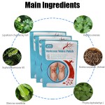 Vein Stickers Factory - 12pcs Varicose Vein Healing Circulation Patch