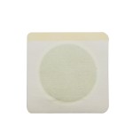 Hemorrhoid Patch Supplier - Anus Itching Anal Fissure Health Care