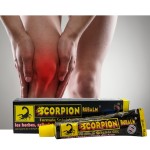 Analgesic Cream Factory - Scorpion Venom Tendinitis Back Pain Herbal