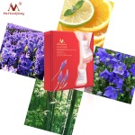 Foot Patch Supplier - 10pcs Lavender Nourishing Repair Soothing