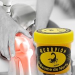 Scorpion Venom Balm Supplier - 30g Pain Rheumatism Sciatica Care