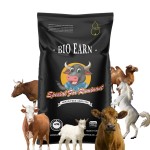 Ruminant Feed Additives Mixed with Corn so That Can Increase the Weight