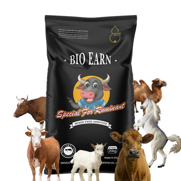 Ruminant Feed Additives Mixed with Corn so That Can Increase the Weight