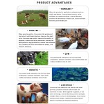 Sheep Zootechnical Antelope Lysine  Cattle Great Quality Animal Feed Additive for Farm Anima