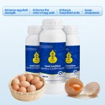 Bio Earn Best Selling New Liquid Bacillus Subtilis for Laying Hens Boost Egg Production Efficiently for Layer