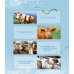 Ruminant Feed Additives Mixed with Corn Which Is Animal Health Products
