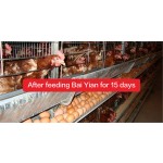 Lysine Animal Feed Additive Amino Acid Feed Additive Poultry Feed Additive Vitamin Selenium Amino Acid for Chicken