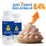 Bio Earn Best Selling New Liquid Bacillus Subtilis for Laying Hens Boost Egg Production Efficiently for Layer