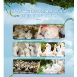 Feed Additive Magnesium Chloride Feed Additives Rosemary Extract Feed Additive Lysine Methionine Poultry