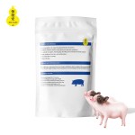 Factory Supplying Multivitamins and Minerals Increase Appetite Pig Feed Additives Clostridium Butyricum Product
