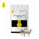 Feed Additive for Regulating Intestinal Tract of Cattle and Sheep