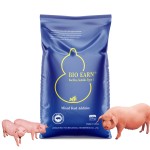 Factory Supplying Multivitamins and Minerals Increase Appetite Pig Feed Additives Clostridium Butyricum Product
