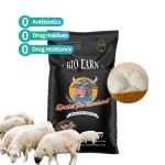 Animal Health Feed Additives for Cattle  Sheep Horses Weight Gain Fast Growth Premix Promoting Growth Fattening  Probiotics