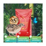 Lysine Animal Feed Additive Amino Acid Feed Additive Poultry Feed Additive Vitamin Selenium Amino Acid for Chicken