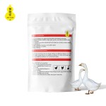 Pigeon Low Price Additives Quail Humic Acid Goose Chicken Best Quality Animal Feed Additive for a