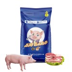 Bio Earn Veterinary Feed Additives Poultry Pigs Enhanced Animal Feed Vitamins Probiotics Vitamin Amino Acid Bacillus Strain