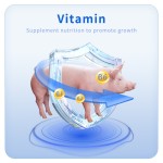 Best Quality Bacillus Subtilis Animal Supplement Probiotics for Poultry Enhancing Pig Piglet Sow's Immunity and Physical Fitness