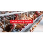 Lysine Animal Feed Additive Amino Acid Feed Additive Poultry Feed Additive Vitamin Selenium Amino Acid for Chicken