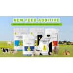 Sheep Premix Antelope Enzymes and Game on Cattle Best Quality Animal Feed Additive for F