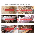 Lysine Feed Grade Additives Animal Feed Additives Mix Probiotic Feed Additives Pig Premix Inositol