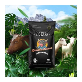 Sheep Zootechnical Antelope Lysine  Cattle Great Quality Animal Feed Additive for Farm Anima