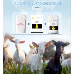 Ruminant Feed Additives Mixed with Corn Which Is Animal Health Products