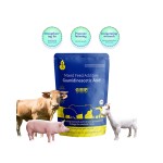 Feed Additives Enhance Appetite, Increase Feed Intake of Pig