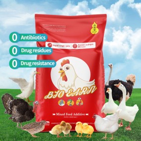 High Quality Natural Broiler Additive Booster for Rapid Growth and Weight Gain in Turkey Broiler Chickens Poultry Feed Additive