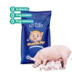 Best Quality Bacillus Subtilis Feed Additives Probiotics Supplement Poultry Enhancing Pig Piglet Sow's Immunity Physical Fitness