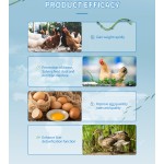 Feed Additive Magnesium Chloride Feed Additives Rosemary Extract Feed Additive Lysine Methionine Poultry