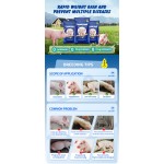 Best Quality Bacillus Subtilis Animal Supplement Probiotics for Poultry Enhancing Pig Piglet Sow's Immunity and Physical Fitness