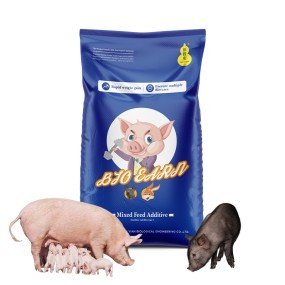 High-quality and Low-cost Bacillus Subtilis for Pigs to Regulate the Intestines and Improve Feed Absorption Fast Fattening Sow