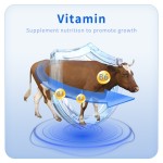 Animal Health Feed Additives for Cattle  Sheep Horses Weight Gain Fast Growth Premix Promoting Growth Fattening  Probiotics