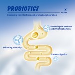 Feed Grade Amino Acids Additives Egg Birds Improve Egg Quality Prolong the peak Laying Period Premix Chicken Feed Additives