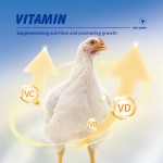 高品质天然肉仔鸡添加剂促进火鸡肉鸡快速生长增重的家禽饲料添加剂