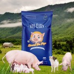 Feed Grade Amino Acids for Poultry Effective Improvement on Pigs' Growth and Weight Gain for Slow-growing Pigs on Normal Diet