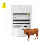 Sheep Zootechnical Antelope Lysine  Cattle Great Quality Animal Feed Additive for Farm Anima