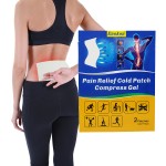Transdermal Gel Patch Factory - OEM Wholesale Pain Relief