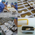 Moxibustion Cream Factory - OEM 700g Reusable Qi Immunity