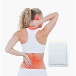 Black Plaster Supplier - OEM Muscle Shoulder Neck Relief