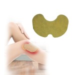 Wormwood Patch Manufacturer - OEM Customized Color Body