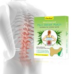 Lumbar Pain Patch Factory - OEM Self Heating Wormwood Plaster