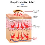 Warm Pain Cream Supplier - OEM Bone Muscle Joint Reducing