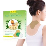 Cervical Patch Supplier - OEM Wormwood Herbal Warming Heat