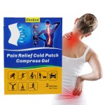Pain Gel Patch Supplier - OEM Factory Price Pure Free Sample