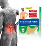 Lumbar Pain Patch Factory - OEM Analgesic Joint Muscle