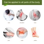 Lumbar Pain Patch Factory - OEM Self Heating Wormwood Plaster