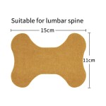 Lumbar Pain Patch Factory - OEM Analgesic Joint Muscle