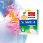 Shoulder Pain Patch Factory - OEM Factory Price Chinese