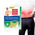 Lumbar Pain Patch Factory - OEM Analgesic Joint Muscle